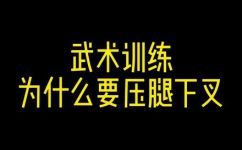 下叉是什么意思(了解下叉的含义及用途，解析下叉的用法和常见术语)