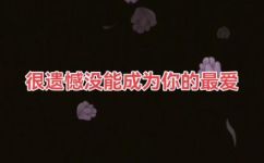 一见钟情再见倾心是什么意思(了解一见钟情再见倾心的含义及传统文化背景)