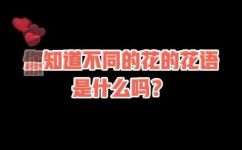 解花语什么意思(掌握解花语的技巧，让你轻松读懂花语的含义)
