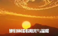 一什么文章(一篇优质文章，值得你细细品味)