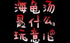 海龟汤是啥(揭秘海龟汤：全面了解海龟汤的起源制作和功效)