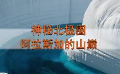 阿拉斯加是什么(探索神秘阿拉斯加：了解北极之美)