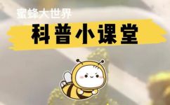 蜜蜂的颜色(关于蜜蜂颜色的综合分析与解析)