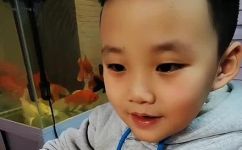 一颗一颗照样子写词语说一句话(如何教孩子一颗一颗照样子写词语，有效提高语文能力？)