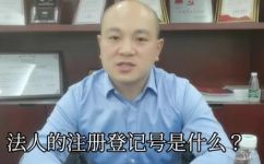 登记号是什么意思(解析登记号的含义，助你更好理解和应用)