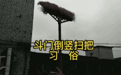 竖扫把是什么梗(竖扫把是什么梗？解析竖扫把的来源和流行原因)