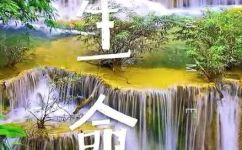 以生命像什么的排比句(生命如何像什么？从这些排比句中探索)