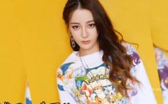 赵丽颖的粉丝名叫什么(赵丽颖粉丝名是什么？揭秘赵丽颖粉丝团名字，让你尽情加入)