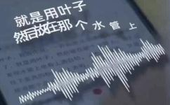 穷举什么意思(最全解析穷举的意思是什么，穷举方法及应用详解)
