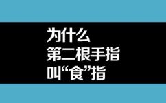 第二个手指叫什么(揭秘第二个手指的真正名称，你知道吗？)