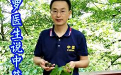 通天藤的别名(通天藤别名功效及用途，一文了解)