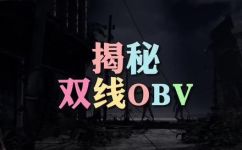 双线本是什么样的(深入了解双线，揭秘其真实面貌)
