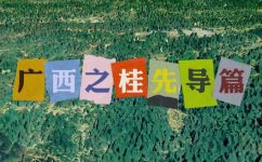 桂是哪里(桂是哪里？探究桂的位置历史与文化背景)