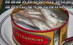 鲱鱼罐头到底有多臭(惊人真相：鲱鱼罐头的臭味到底有多严重？)