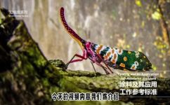 jrs是什么(揭秘JRS：了解这个神秘的名词)