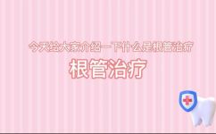 需根解损分别指什么(深入解析需根解损：了解其含义与区别)