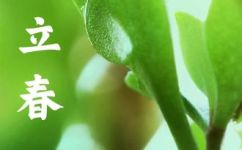 春安是什么意思啊(春安意义解析：探究中华传统文化中春节习俗之含义)