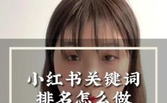 小xue什么意思(如何优化小xue的搜索排名？)