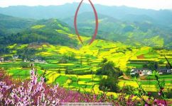 什么的镜子填形容词(如何优化镜子填形容词的标题，吸引更多的搜索引擎流量？)