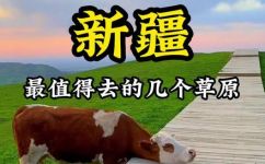 什么样的草原(草原风光如此壮美，这里有哪些美景值得一去？)