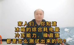 冷冻能力是什么意思(了解冷冻能力：影响冷冻效果的关键因素)