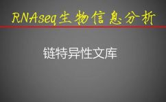 模板链是什么(深度解析：模板链的意义与应用)