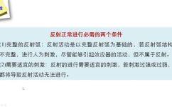 反射成立的三个条件是什么(什么是反射成立？掌握这三个条件，成为物理学的大牛)