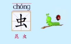 虫的拼音组词(如何拼写虫字的组词？)