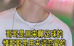 情哥哥是什么意思(了解情哥哥：深入解析其含义及来源)