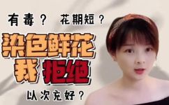 碎冰蓝玫瑰是染的吗(碎冰蓝玫瑰是天然还是染色的？了解真相)