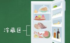 电冰箱的英语怎么说(电冰箱的英文名称是什么？掌握冷藏知识从命名开始)