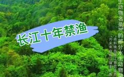 石巴子鱼是不是保护动物(石巴子鱼的保护状况如何？了解石巴子鱼是否属于保护动物)