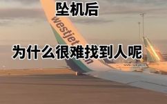 人被瞬间气化什么意思(科学解读人瞬间气化的真正含义是什么？)