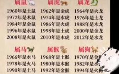 1996年是什么年(1996年是哪一年？了解历史，回顾时光)