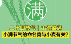 小满是什么季节的节气(小满节气是属于哪个季节？)