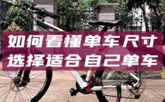 共享单车多少寸(共享单车选几寸？了解正确的车轮尺寸选择)