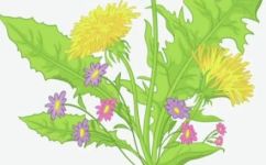 关于蒲公英花的比喻句(蒲公英花的比喻句，了解一下)