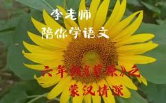 蒙汉情深的意思是什么(探究蒙汉情深的含义：汉蒙文化交流中的情感表达)