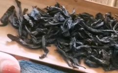 大红袍是哪类茶(大红袍属于哪种茶？解析茶叶分类)