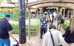 苏梅岛3月天气如何(苏梅岛旅行攻略3月去苏梅岛天气怎么样？有什么需要注意的吗？)
