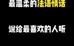 法语情话最暖心短句(感动人心法语情话最温馨短句盘点)