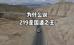 219什么意思(了解219的含义，深入解析为什么它如此受欢迎)