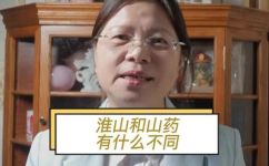 淮山就是山药吗(淮山和山药有什么区别？ )
