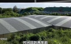 和宜公主原型(揭秘和宜公主原型：历史真相与相关文物鉴赏)