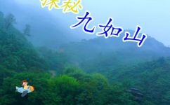 茂密的什么(让你惊叹的茂密景观：探索自然中的生态奇观)