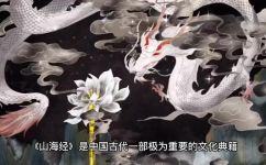 什么是英招(英招是什么？了解英招的含义作用以及实际应用)