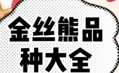 仓鼠有哪些品种(探究仓鼠品种大全，了解不同类别的魅力)