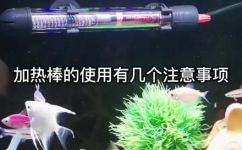 加热棒怎么使用(加热棒的使用方法，轻松掌握)