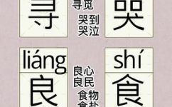寻找的拼音是什么(寻找的正确拼音是什么？)