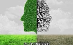 蓝光画质是什么意思(深入解析蓝光画质：什么是蓝光，为什么它如此重要？)